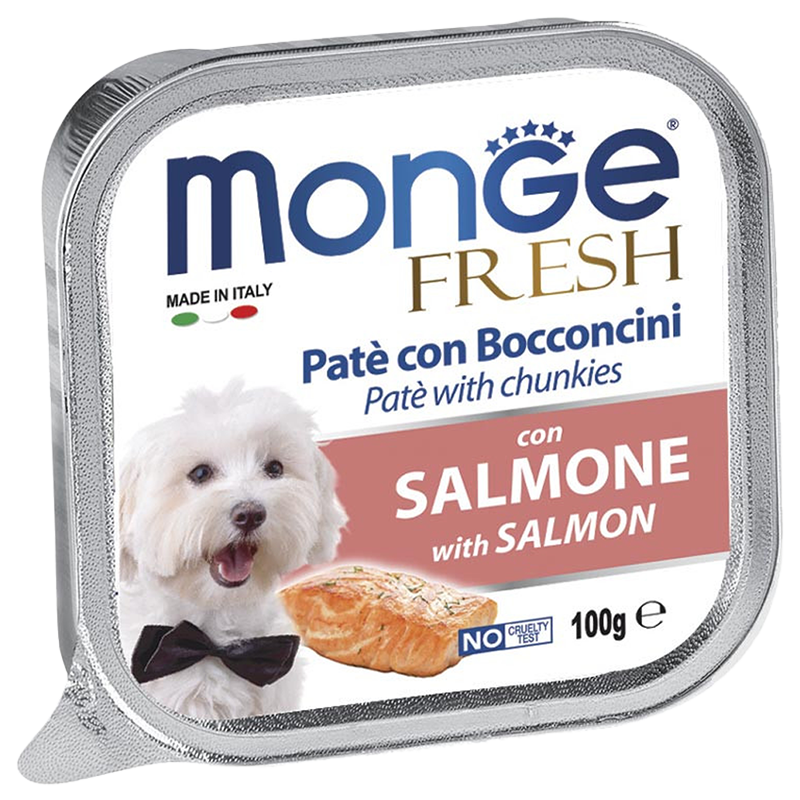 CANE MONGE FRESH 100GR SALMONE