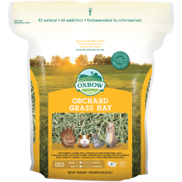 FIENO RODITORI OXBOW ORCHARD GRASS 1.13KG