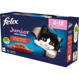 GATTO FELIX LE GHIOTTONERIE 12X85GR JUNIOR