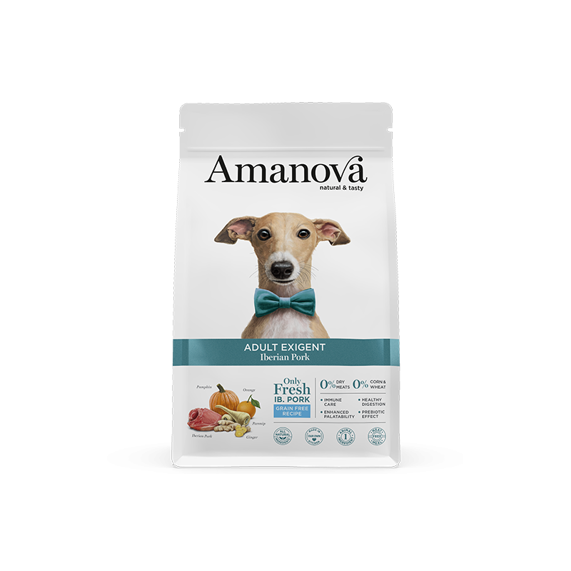 CANE AMANOVA EXIGENT IBERIAN ADULT 2KG MAIALE