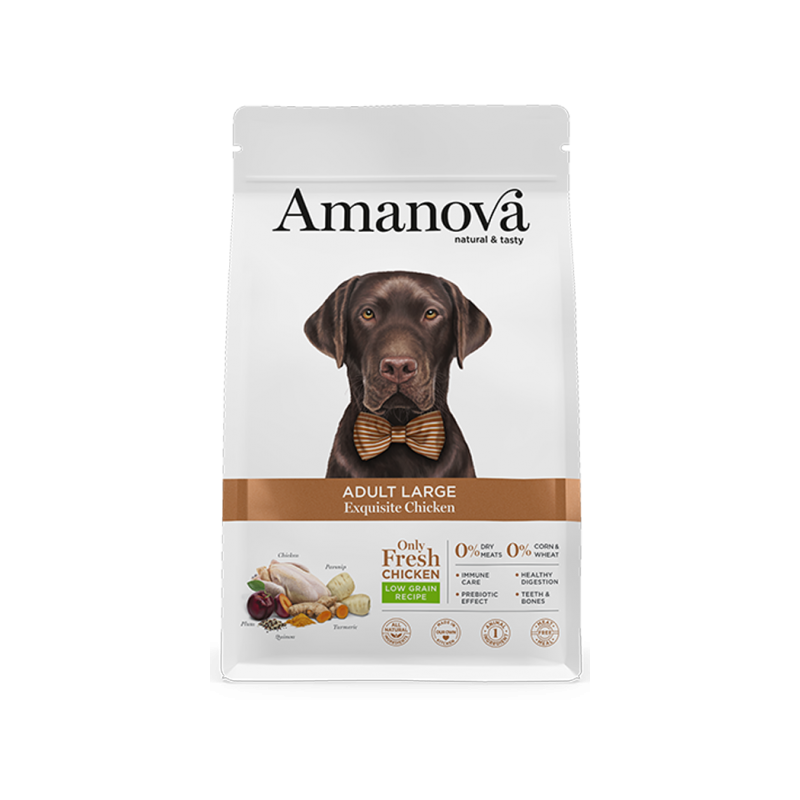 CANE AMANOVA EXQUISITE ADULT LARGE 12KG POLLO