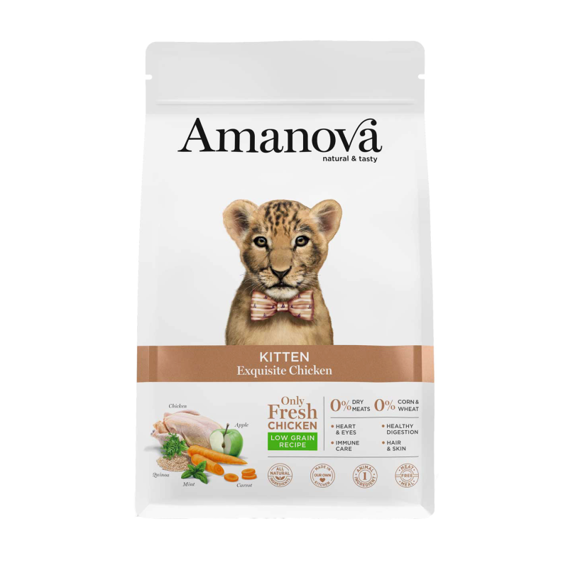 GATTO AMANOVA EXQUISITE KITTEN 300GR POLLO