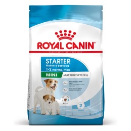 CANE ROYAL CANIN STARTER 8KG MINI