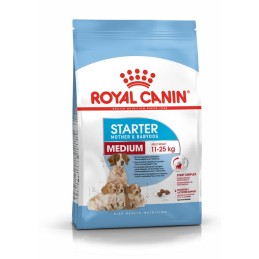 CANE ROYAL CANIN STARTER 4KG MEDIUM