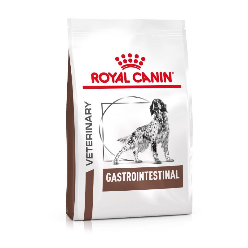 CANE ROYAL CANIN DIET GASTROINTESTINAL 15KG