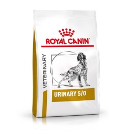 CANE ROYAL CANIN DIET URINARY 13KG