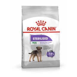 CANE ROYAL CANIN STERILISED 3KG MINI