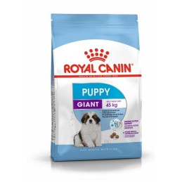 CANE ROYAL CANIN PUPPY 15KG GIANT