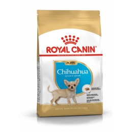 CANE ROYAL CANIN RAZZE 1.5KG CHIHUAHA JUNIOR