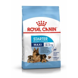 CANE ROYAL CANIN STARTER 4KG MAXI