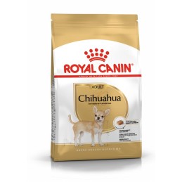 CANE ROYAL CANIN RAZZE 500GR CHIHUAHUA ADULT