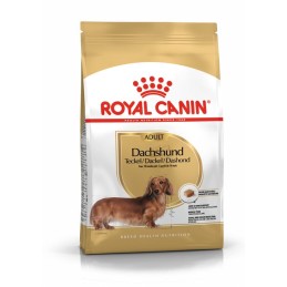 CANE ROYAL CANIN RAZZE 1.5KG BASSOTTO ADULT