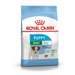 CANE ROYAL CANIN PUPPY 8KG MINI