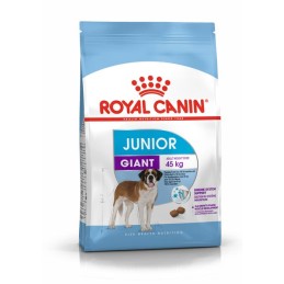 CANE ROYAL CANIN JUNIOR 15KG GIANT