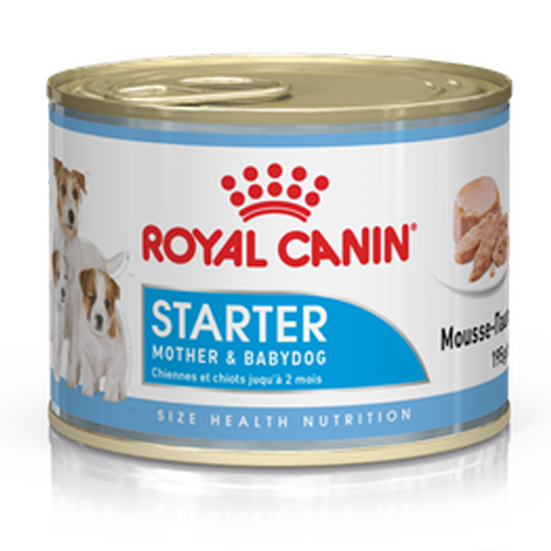 CANE ROYAL CANIN STARTER 195GR LATT.MOUSSE MOTHER BABYDOG