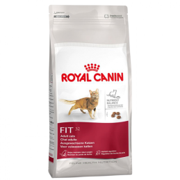 GATTO ROYAL CANIN FIT 32 4KG VITA IN/FUORI CASA