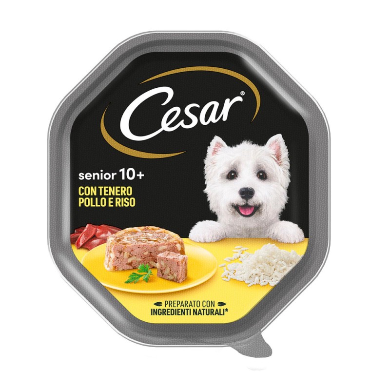 CANE CESAR 150GR SENIOR 10+ TENERO POLLO E RISO