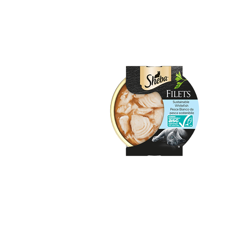 GATTO SHEBA 60GR FILETS PESCE BIANCO