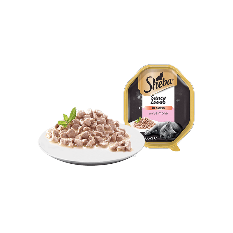 GATTO SHEBA 85GR SAUCE LOVER SALMONE