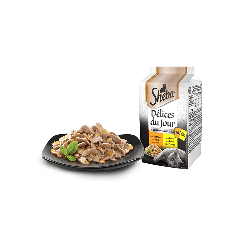 GATTO SHEBA D.DUJOUR 6X50GR DELICATA POLLO/TAC/C.BIA