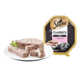 GATTO SHEBA 85GR VASCHETTA PATE SALMONE