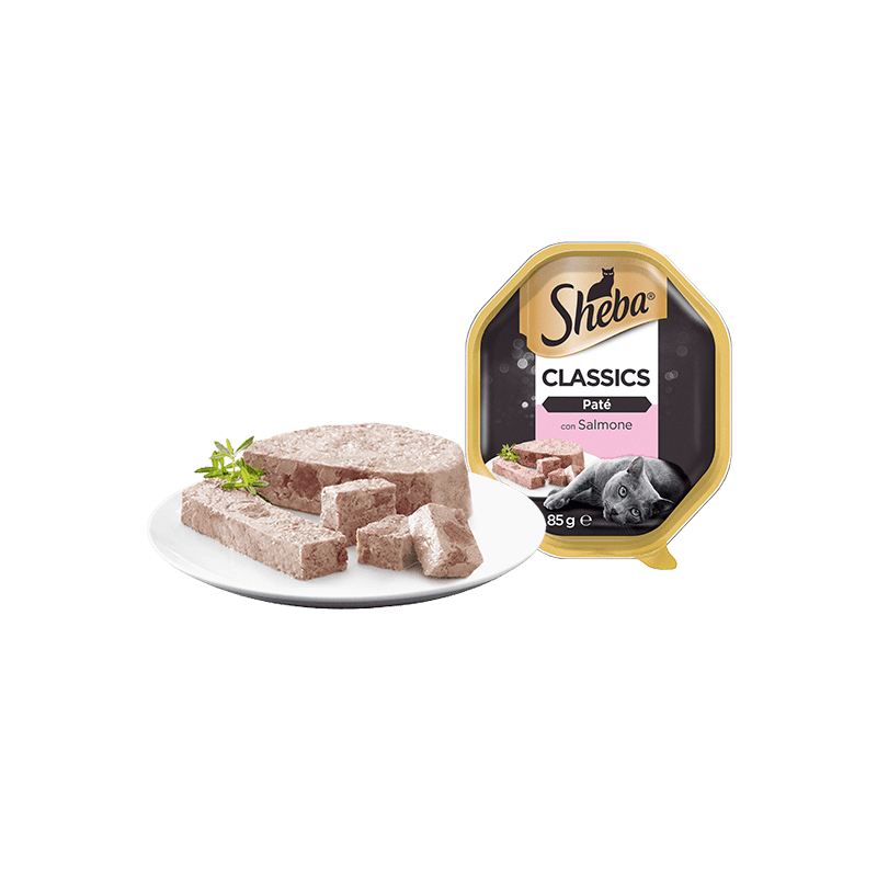 GATTO SHEBA 85GR VASCHETTA PATE SALMONE