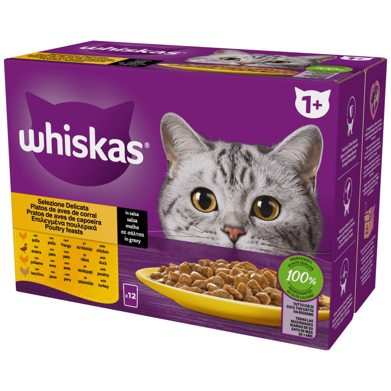 GATTO WHISKAS STRACCETTI 12X85GR DELICATA