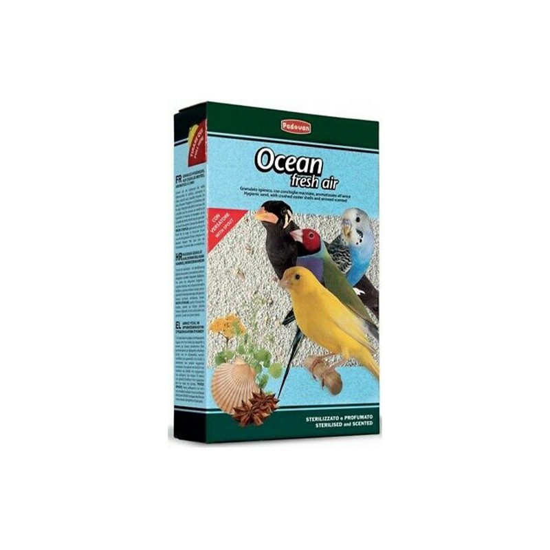 LETTIERA GRIT PADOVAN OCEAN FRESH AIR 5KG