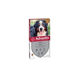 ANTIPARASSITARIO ADVANTIX SPOT ON CANE 40/60KG 4 PIPETTE