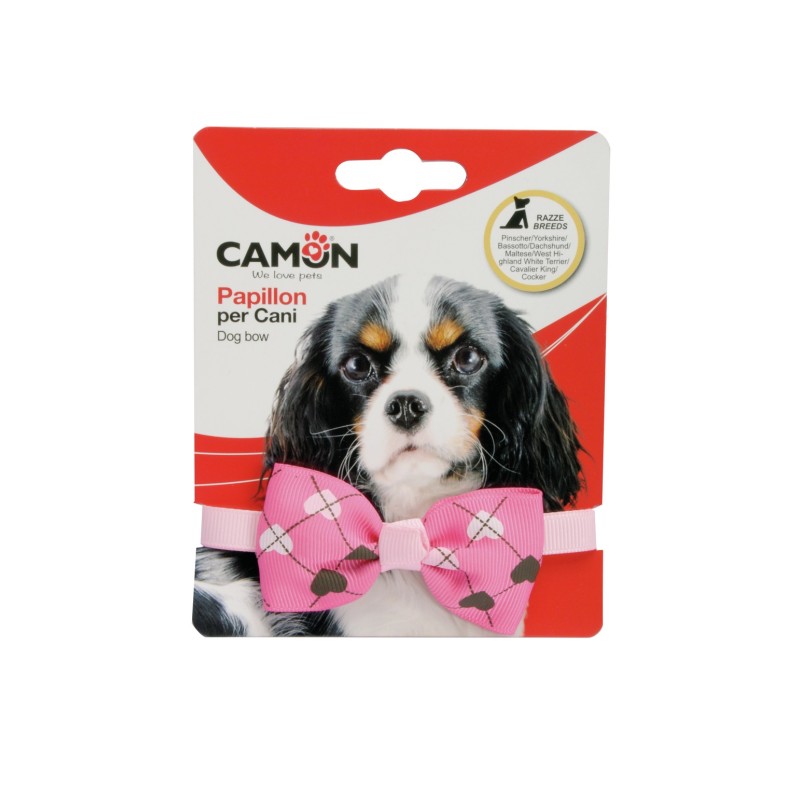 PAPILLON PER CANI