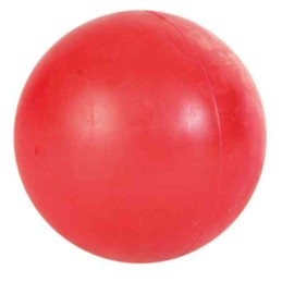 GIOCO CANE PALLA GOMMA PIENA 6CM