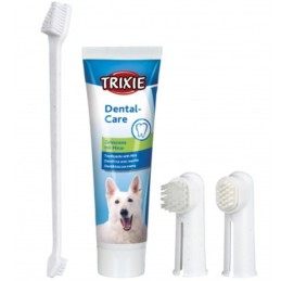 SET CURA DENTI CANE 4PZ