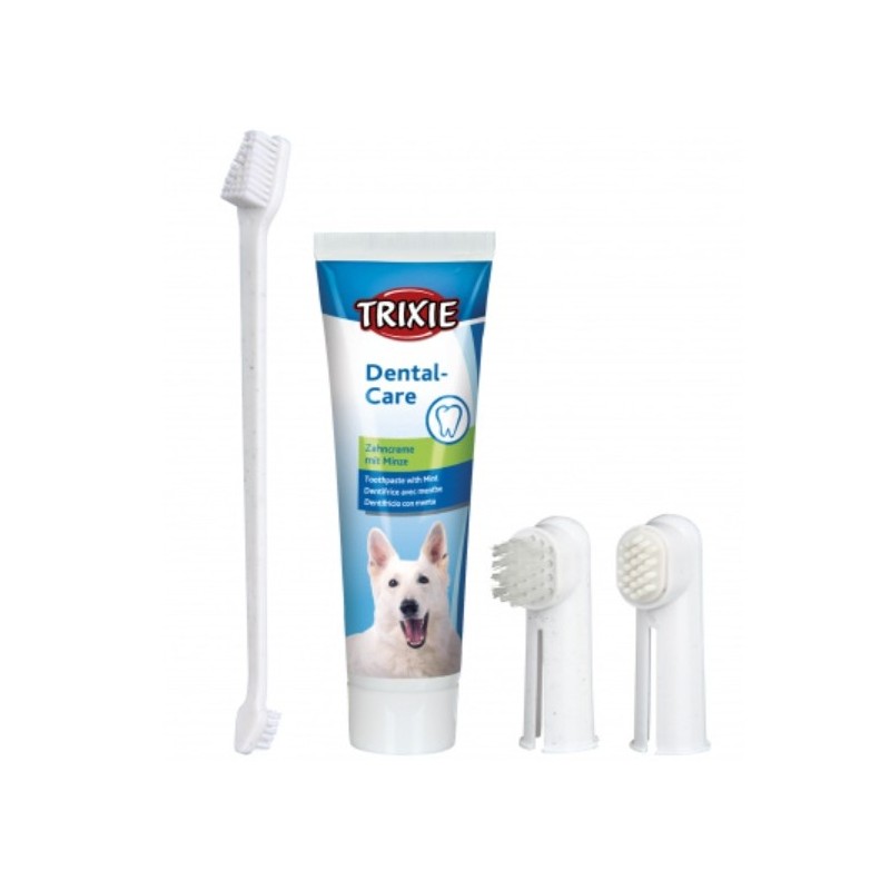 SET CURA DENTI CANE 4PZ