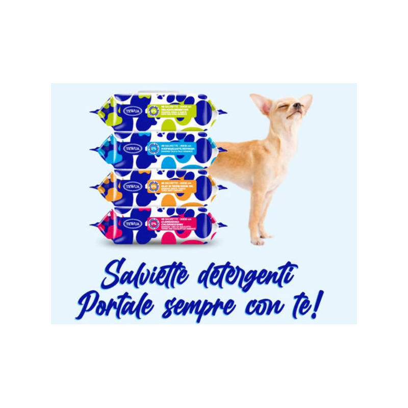 CANE/GATTO SALVIETTE DELICATA 40PZ