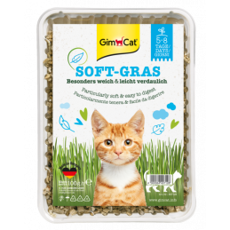 ERBA GATTO GIMBORN SOFT-GRAS 100GR