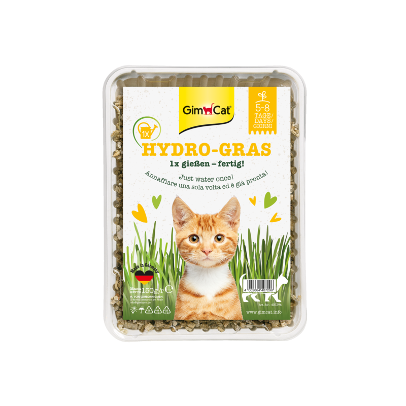 ERBA GATTO GIMBORN HYDRO-GRAS 150GR