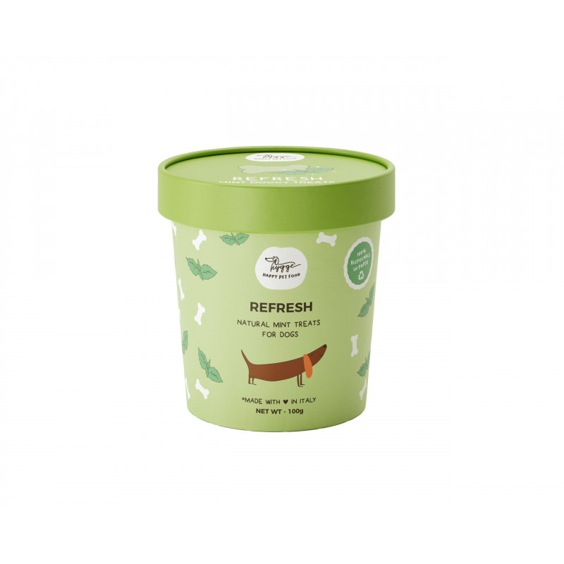 CANE BISCOTTO HYGGE 100GR MENTA