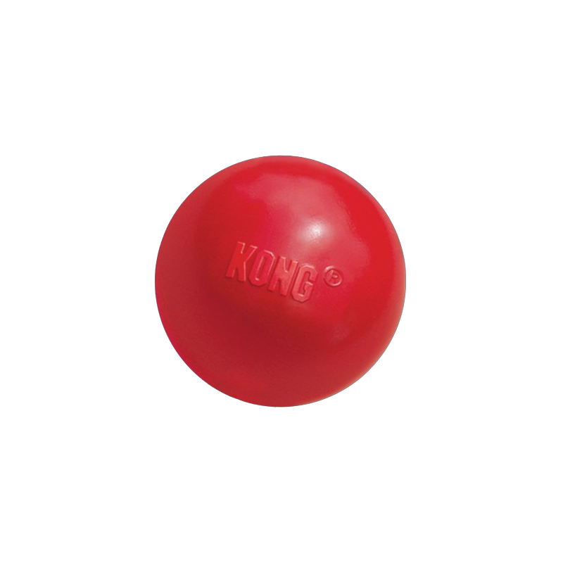 GIOCO CANE KONG BALL S