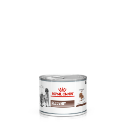 CANE/GATTO ROYAL DIET RECOVERY 195GR LATTINA