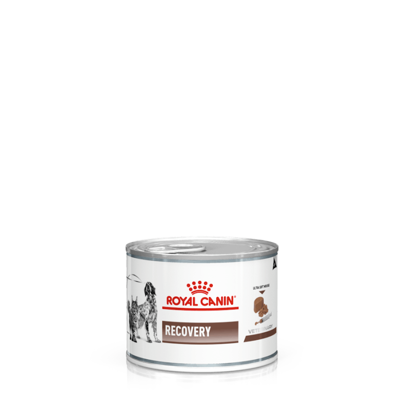 CANE/GATTO ROYAL DIET RECOVERY 195GR LATTINA