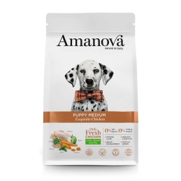 CANE AMANOVA EXQUISITE PUPPY MEDIUM POLLO 12KG