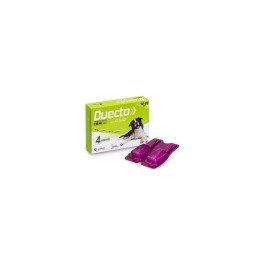 ANTIPARASSITARIO DUECTO 4 PIPETTE MONODOSE CANI 10 - 20 KG