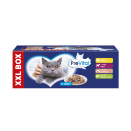 GATTO PREVITAL BOCCONI GIGABOX 48X100GR