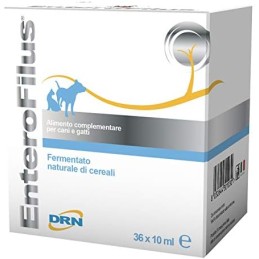 CANE/GATTO ENTEROFILUS DRN FIALE 36X10ML