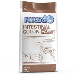 CANE FORZA10 DIET INTESTINAL COLON 4KG FASE 2