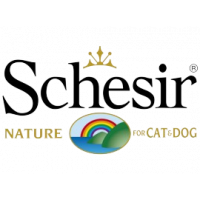 Schesir