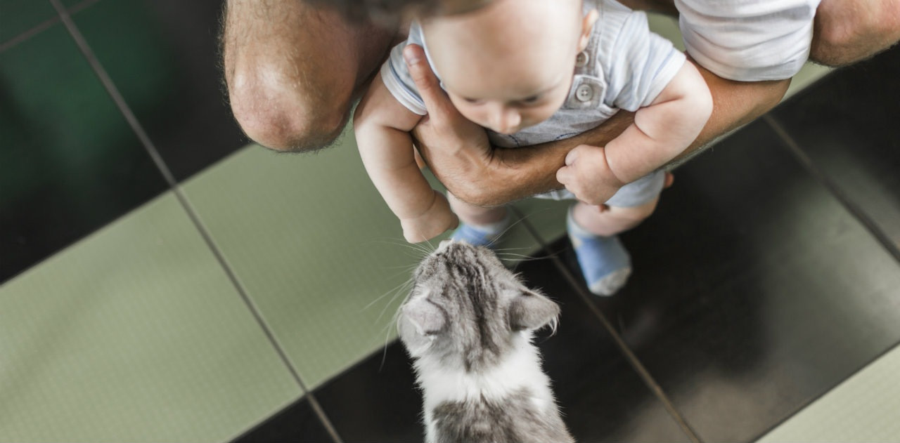 Gatti e neonati: consigli sulla convivenza