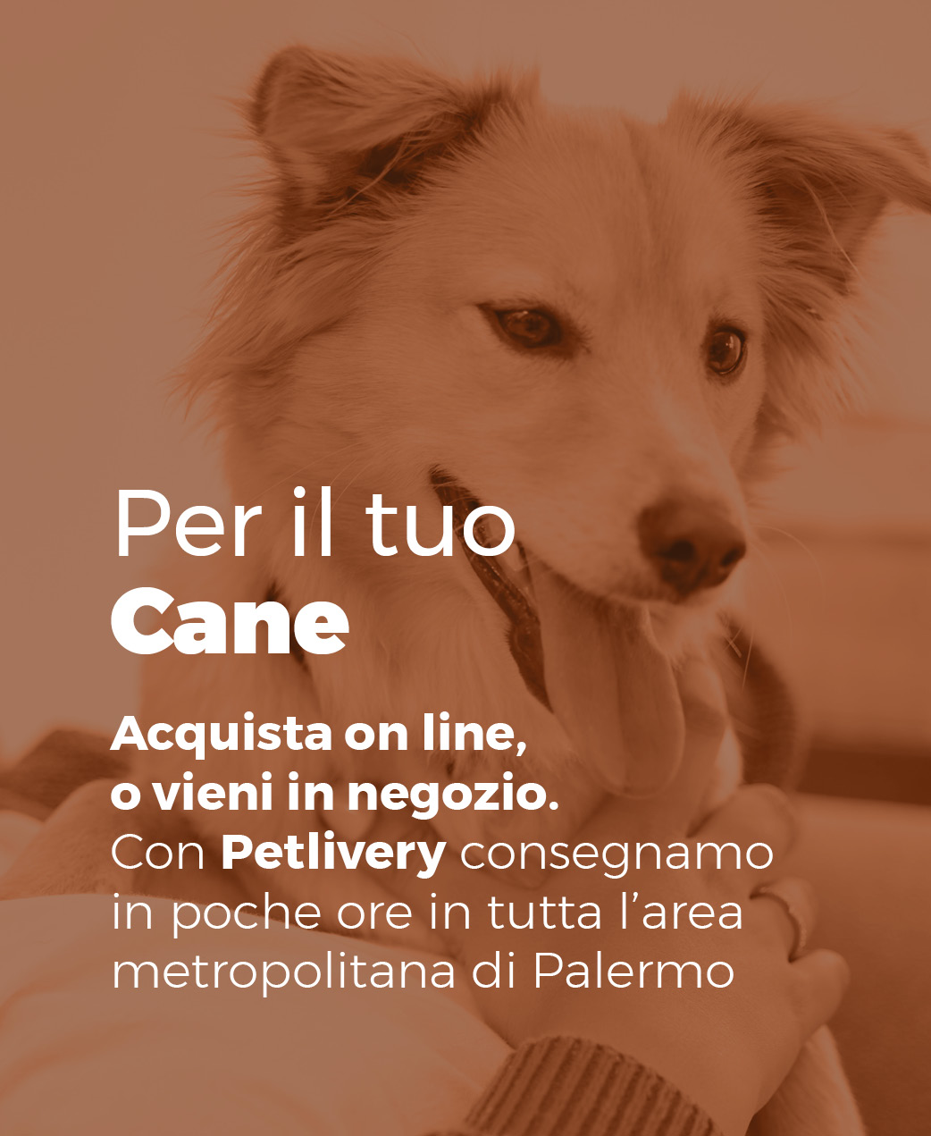 Descrizione del banner del cane mobile