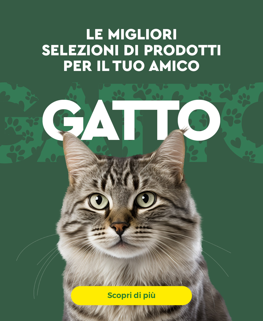 Gatto Zoo Service